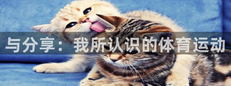 3377体育官方正版app娱乐平台：与分享：我所认识
