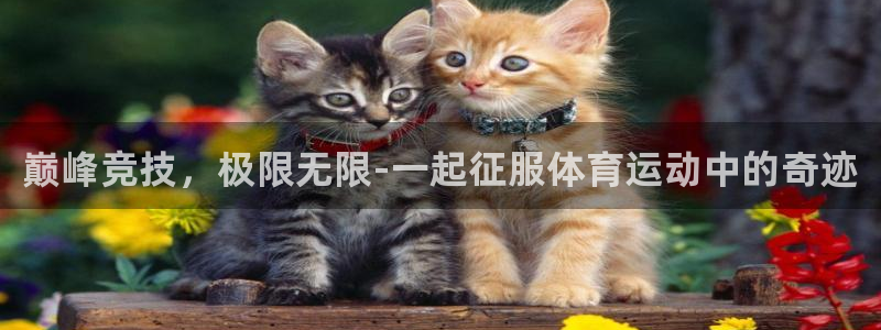 3377体育官方正版app代理：巅峰竞技，极限无限-