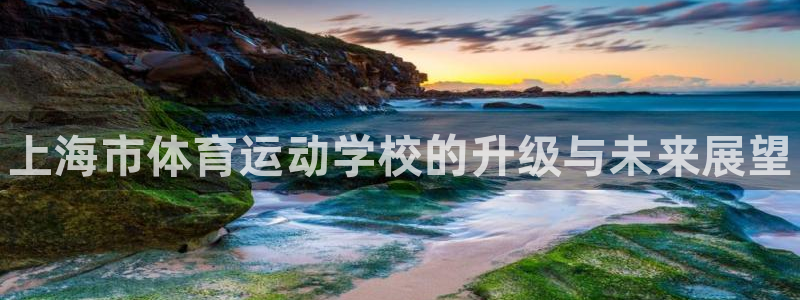 3377体育官方正版app娱乐首页网站大全：上海市体