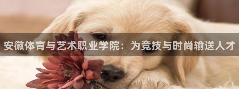 3377体育官网下载招商电话是多少：安徽体育与艺术职