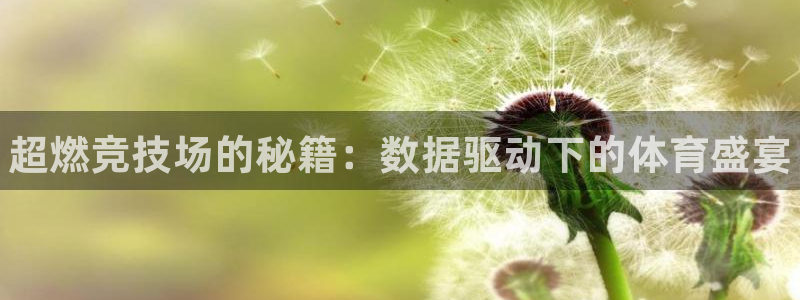 3377体育官方正版app集团：超燃竞技场的秘籍：数