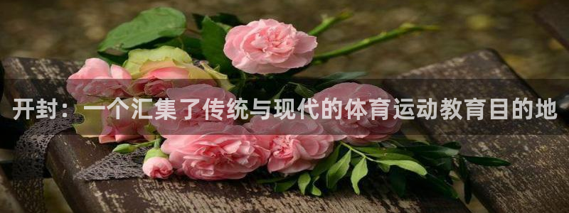 3377体育官网下载招商电话号码是多少：开封：一个汇