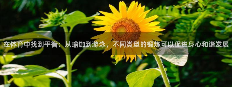 3377体育官网下载平台假的吗是真的吗：在体育中找到