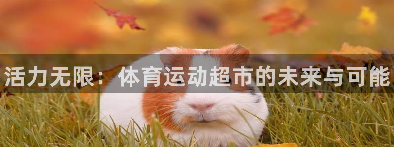 3377体育官网下载开户：活力无限：体育运动超市的未