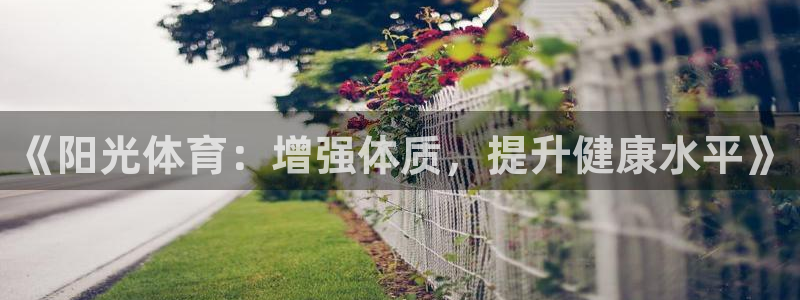 3377体育官方正版app娱乐平台：《阳光体育：增强
