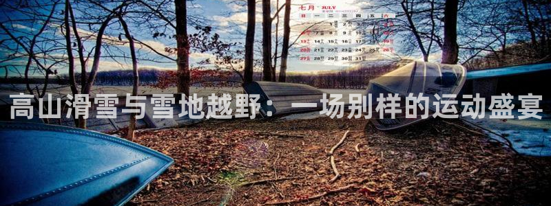 3377体育官网下载平台注册要钱吗安全吗：高山滑雪与