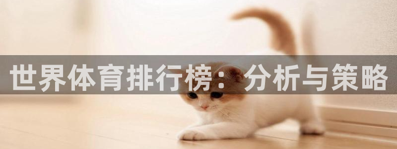 3377体育官方正版app五金厂：世界体育排行榜：分