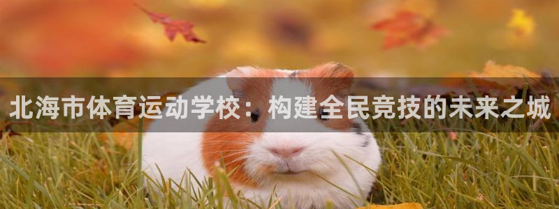 3377体育官方正版app集团官网首页网址：北海市体