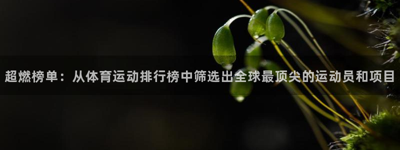 3377体育官网下载平台注册流程图：超燃榜单：从体育