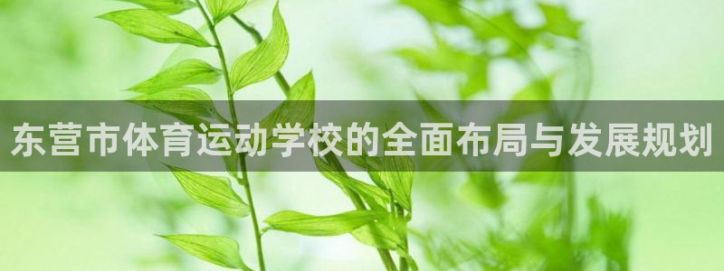 海南3377体育官网下载：东营市体育运动学校的全面布