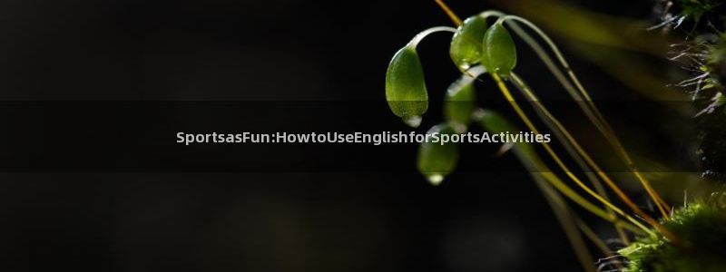 3377体育官网下载招商电话是多少啊：Sportsa