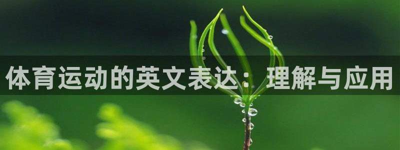 3377体育官网下载平台注册：体育运动的英文表达：理