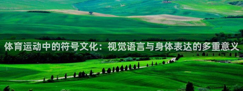 3377体育官网下载平台假的吗是真的吗：体育运动中的符号文化