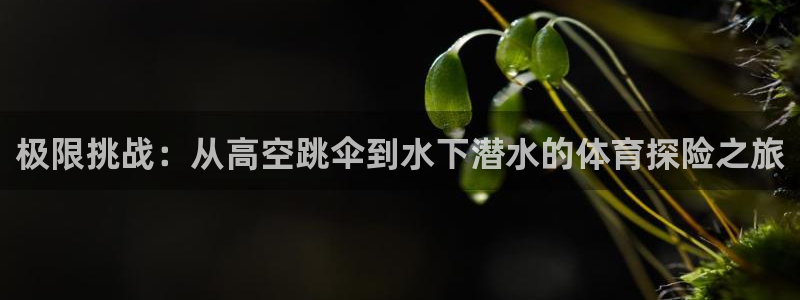 3377体育官方正版app集团：极限挑战：从高空跳伞到水下潜