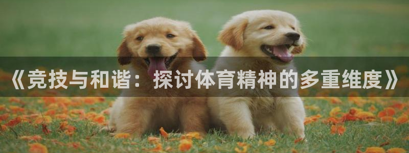 3377体育官网下载：《竞技与和谐：探讨体育精神的多重维度》