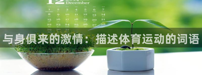 3377体育官网下载平台是正规平台吗