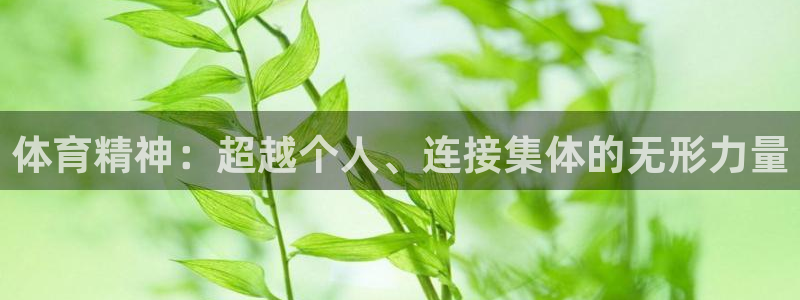 3377体育官网下载开户：体育精神：超越个人、连接集体的无形