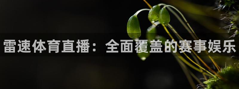 咪咕视频体育直播app下载：雷速体育直播：全面覆盖的赛事娱乐