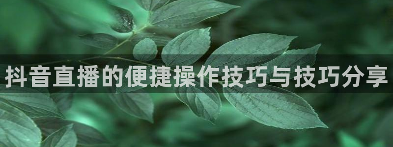 咪咕体育免费直播在线观看：抖音直播的便捷操作技巧与技巧分享