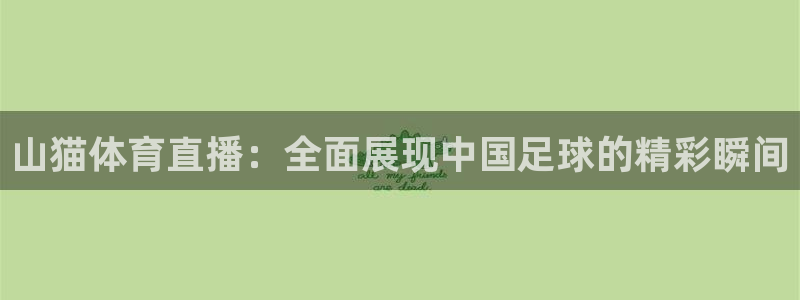 咪咕体育：山猫体育直播：全面展现中国足球的精彩瞬间
