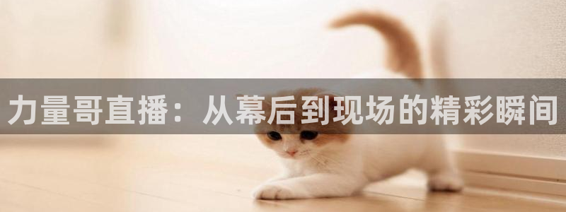 咪咕体育免费直播