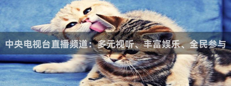 免费看咪咕体育直播